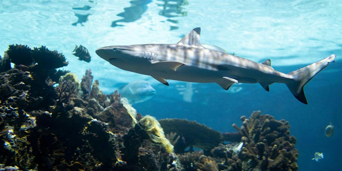 Shark Day (Girl Scouts Nation’s Capital), 6 December | Event in Baltimore | AllEvents