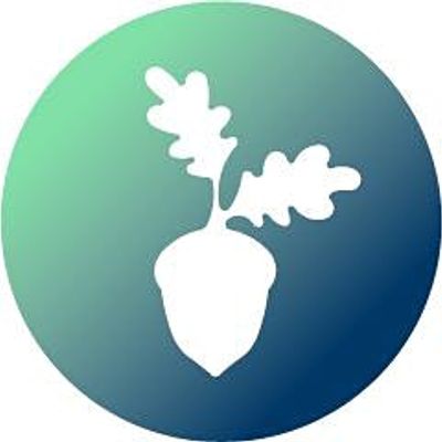 Young Ealing Foundation logo