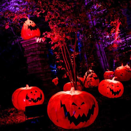 Disney Tim Burton’s The Nightmare Before Christmas Light Trail, 25 September | Event in Bronx | AllEvents