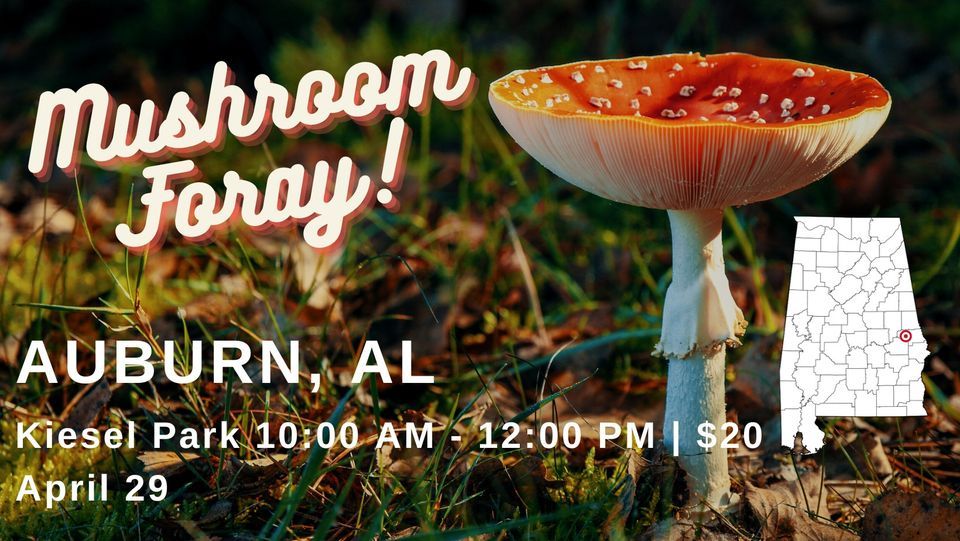 Guided Mushroom Foray Auburn AL, Kiesel Park, Auburn, 29 April 2023