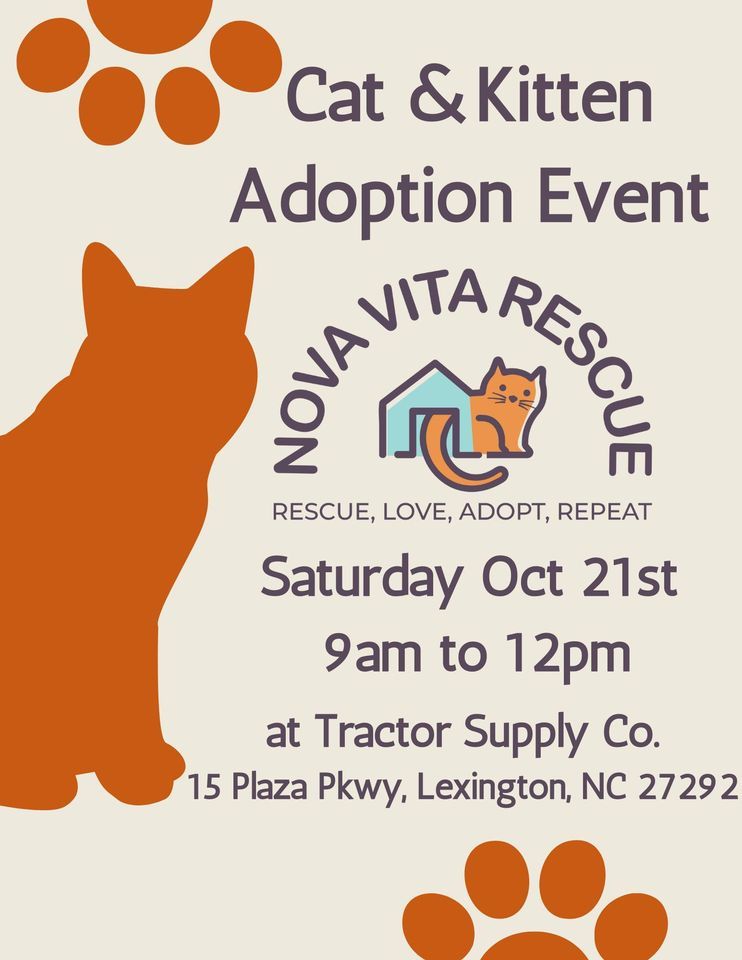 Cat & Kitten Adoption Event, Tractor Supply Co. (15 Plaza Pkwy