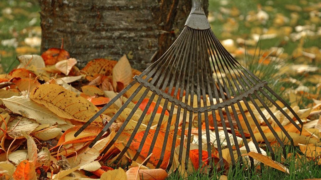 Rake Up Boise, 15 November | Event in Boise | AllEvents