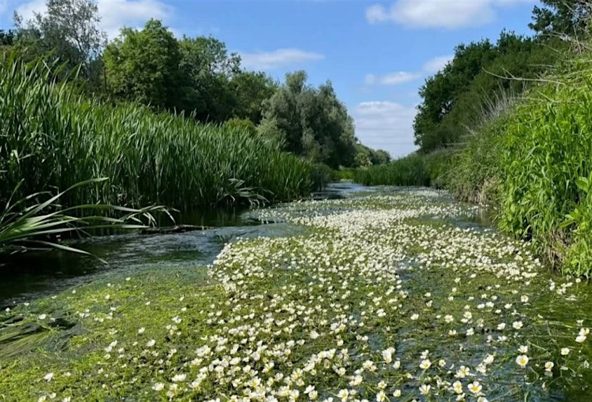 River Roding Scary London Rivers Week - River Roding guided walk (Redbridge to Ray Park ...