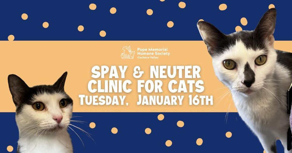 Spay & Neuter Clinic For Cats *Full* , Pope Memorial Humane Society NH