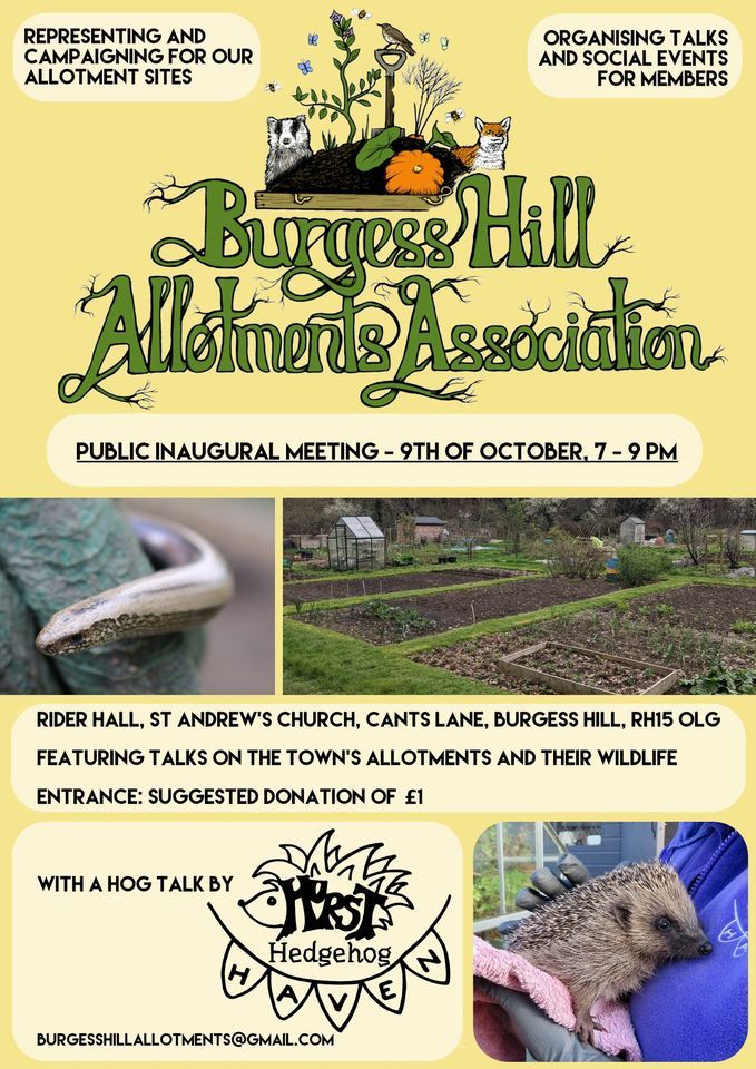 Burgess Hill Allotments Association Inaugural Meeting (featuring a Hog