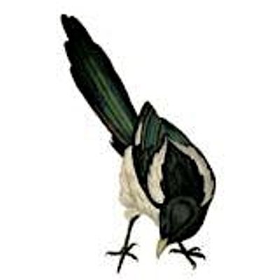 Curiosity Guild logo