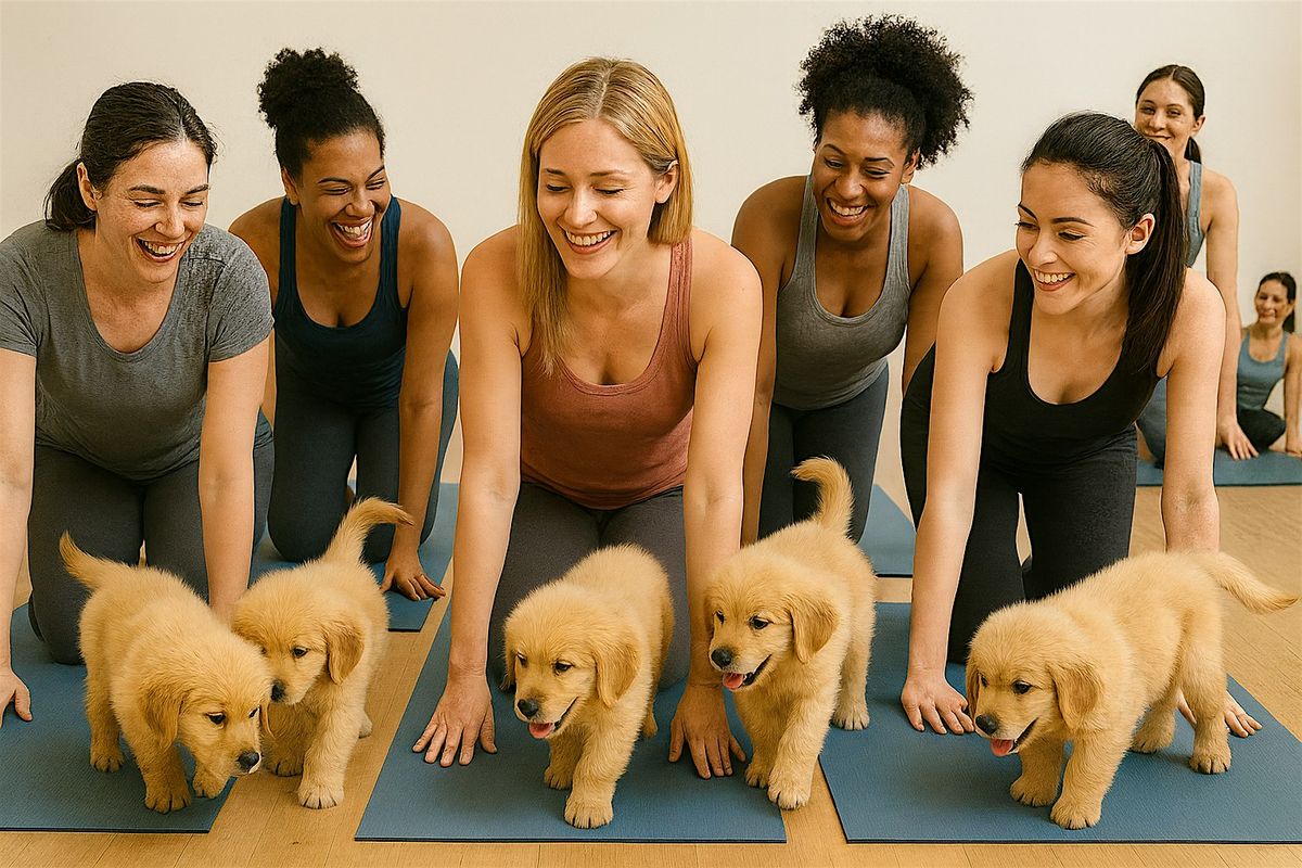Puppy Yoga - December 21st with Golden Retrievers, 21 December | Event in Calgary | AllEvents