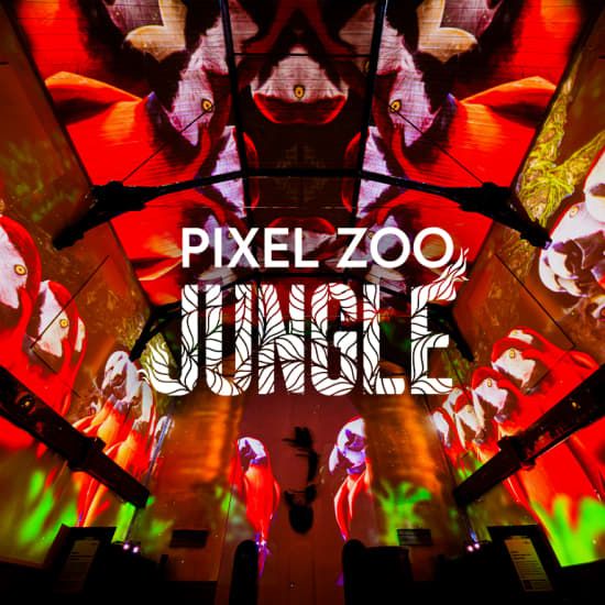 Pixel Zoo Jungle - Joue. Apprends. Explore. | Event in Geneva | AllEvents