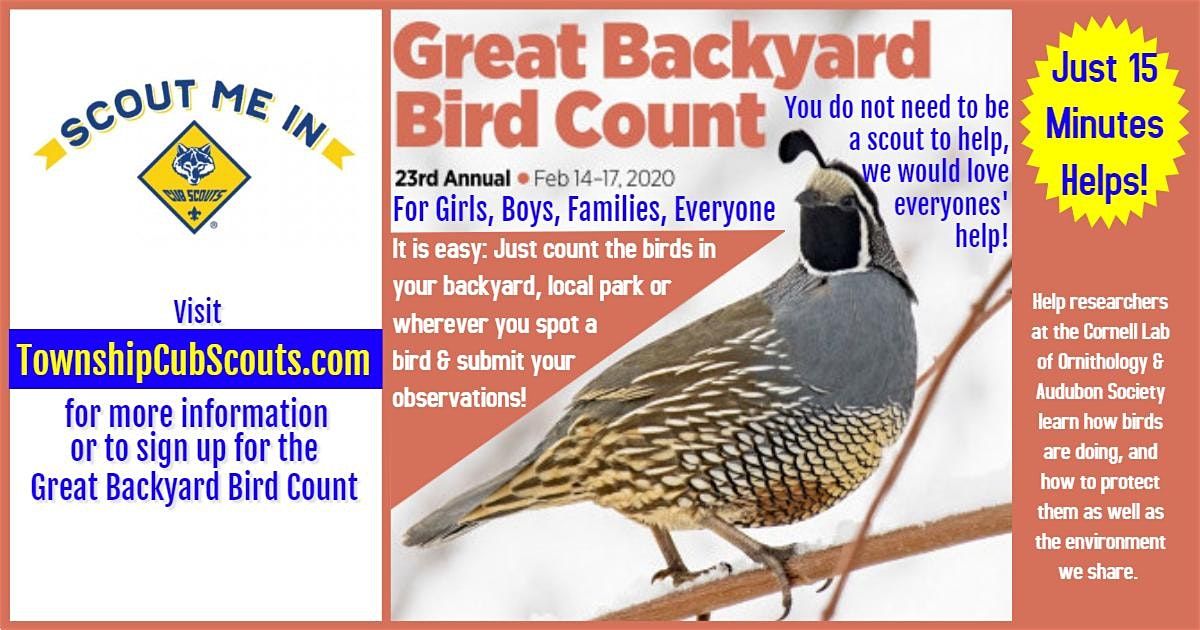 The Great Backyard Bird Count Of 2020 At Washington Township