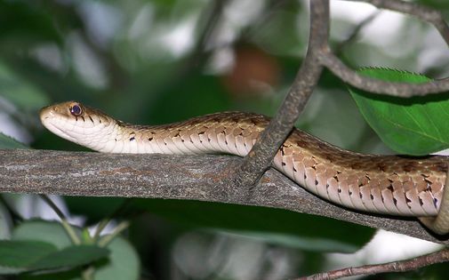 J7qrbldpcj8nam Highbanks Park Calendar Of Events 2022