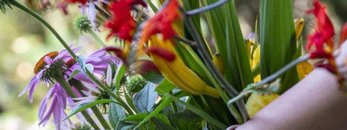 From Garden to Vase: Summer Flowers, 15 July | Event in Glencoe | AllEvents