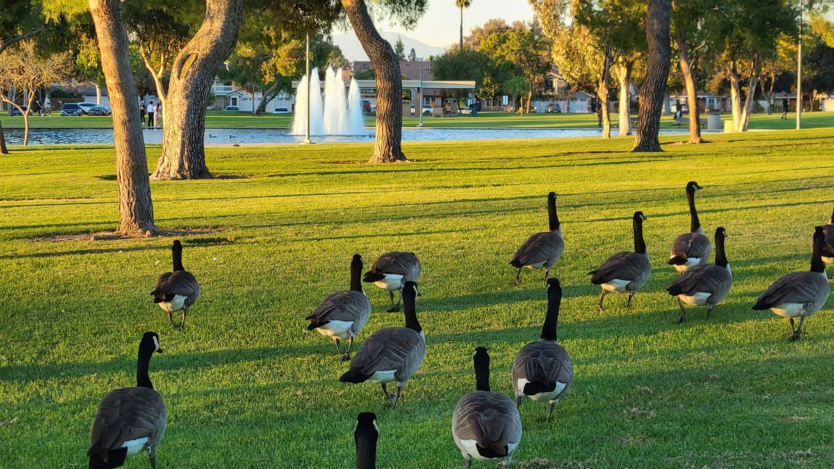 Walking In The Word/Taking Authority, 6 December | Event in Cerritos | AllEvents