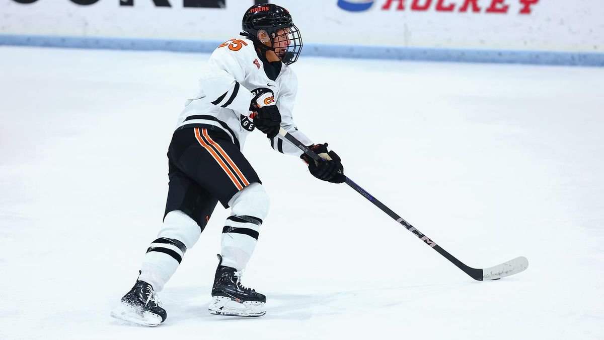 Parking RPI Engineers at Princeton Tigers Mens Hockey, 10 January | Event in Princeton | AllEvents