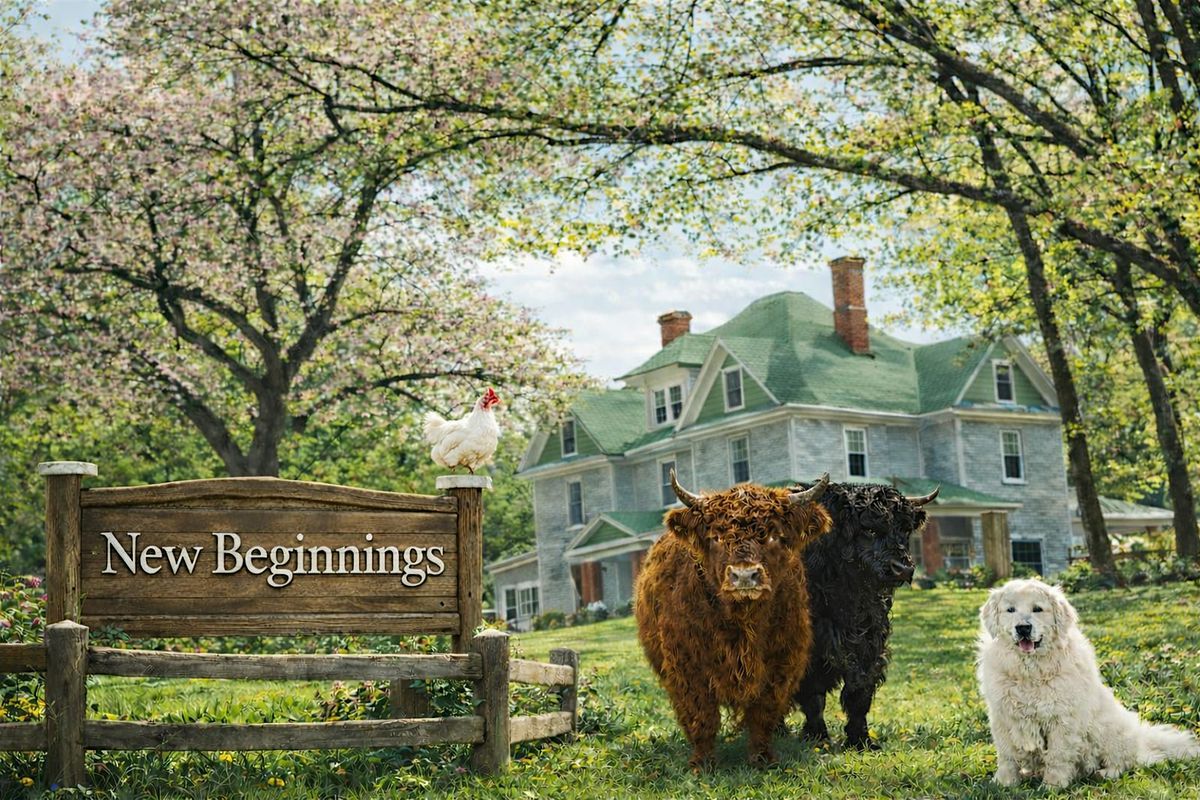 Hike & Highland Cow tour, New Beginnings Historic Farm, Rutherfordton ...