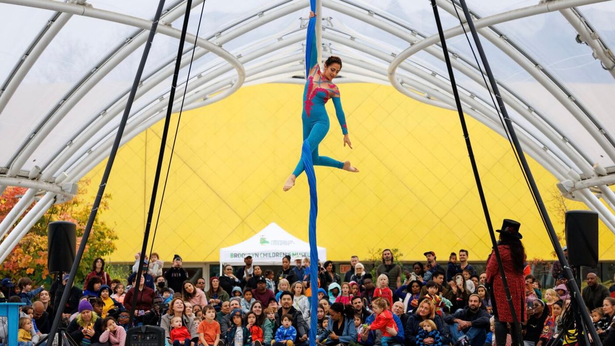 Flip Circus - Brooklyn, 29 November | Event in Brooklyn | AllEvents