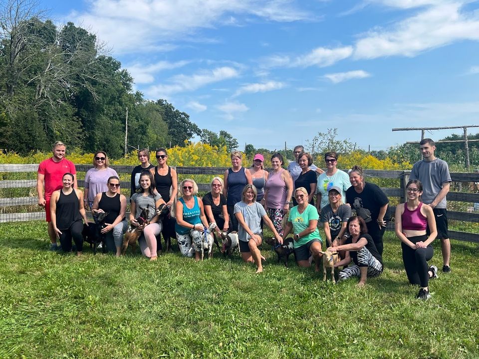 Goat Yoga At The Catherine Violet Hubbard Sanctuary Catherine Violet goat-yoga-at-the-catherine-violet-hubbard-sanctuary-catherine-violet