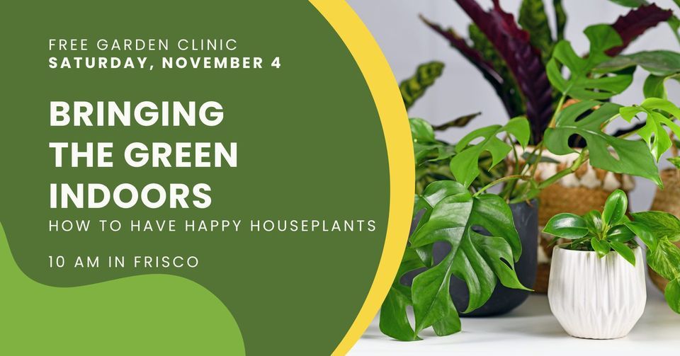 Bringing the Green Indoors (How to Have Happy Houseplants) FRISCO