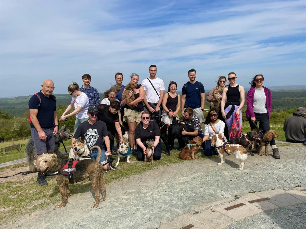 MorePaws Walking Club - Calderstones Park | Event in Allerton | AllEvents