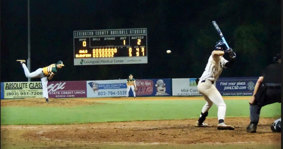 Glowfish at Lexington County Blowfish at Lexington County Baseball Stadium, 4 July | Event in Lexington | AllEvents