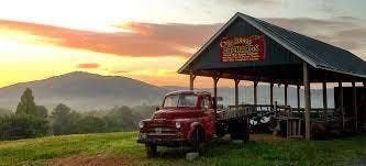 Apple Picking Extravaganza At B J Reece Orchards Ellijay