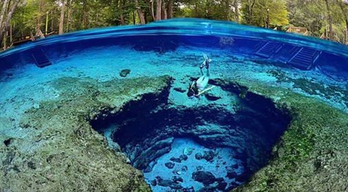 Mermaids & Humans Save Ginnie Springs from Nestle, Ginnie Springs, High