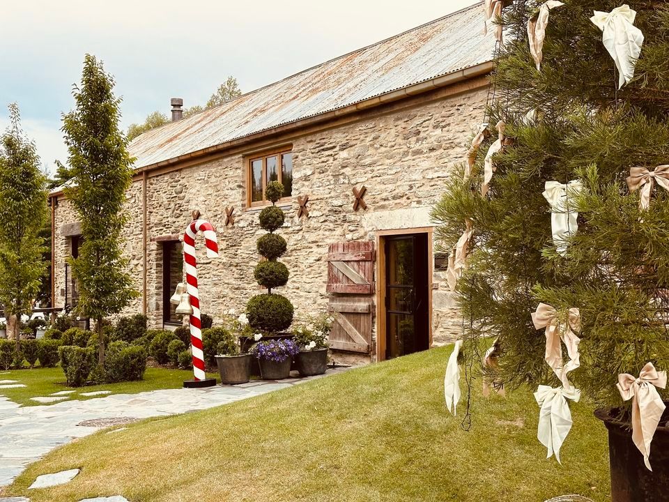 Mr christmas dentist invercargill