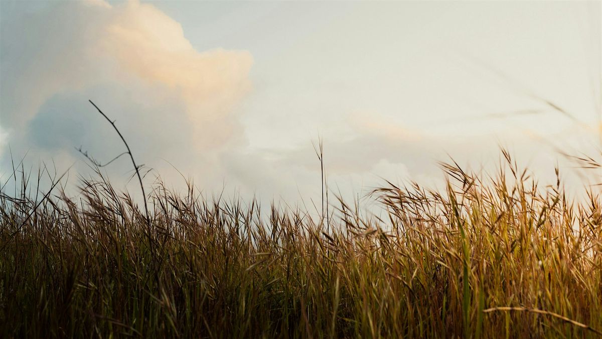 Public Talk and Guided Meditation in Buncrana., 27 November | Event in Buncrana | AllEvents