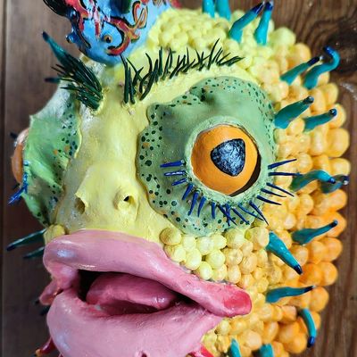 Why The Fish Face