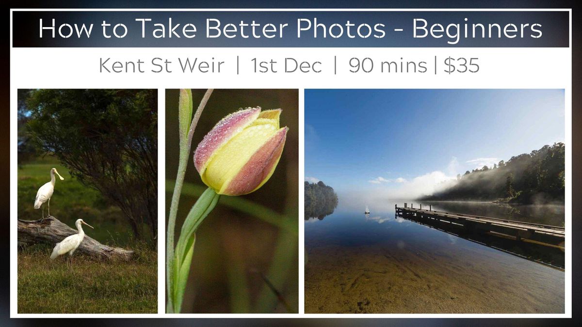 Learn To Take Better Photos Kent St Weir At Kent St Weir Park