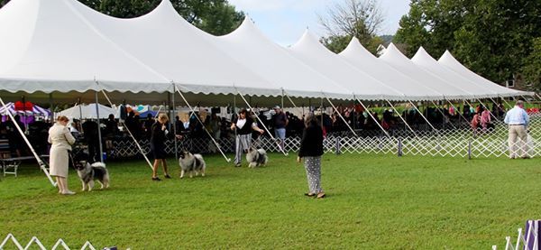 Blue Mountain Cluster Dog Shows at Lehigh Valley Kennel Club, Inc