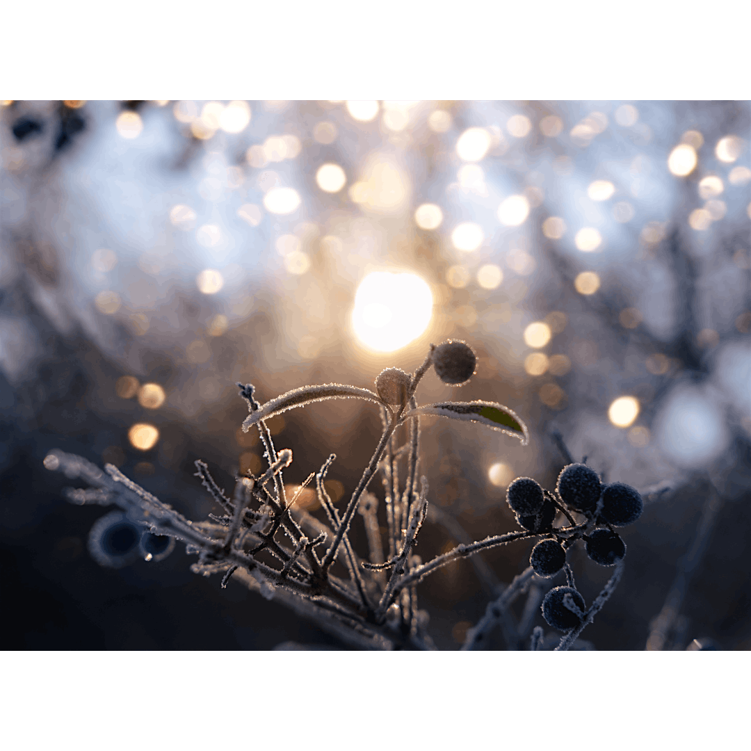 Winter Solstice Day Retreat, 21 December | Event in Libertyville | AllEvents