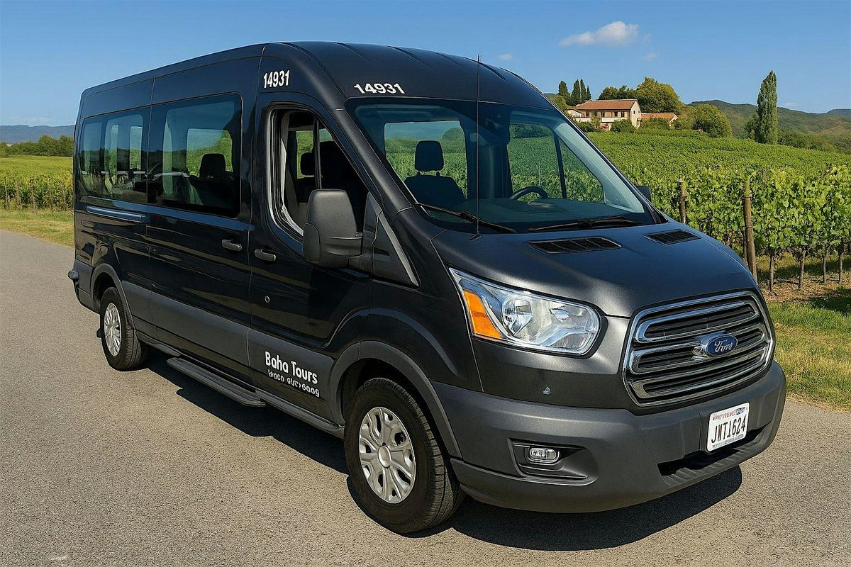 Boho Tours – Executive 9-Passenger Limo Van Service, 20822 River ...