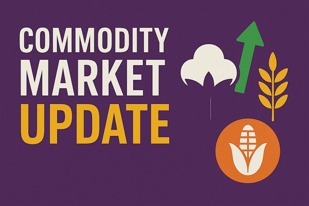 Horry Area Commodity Market Outlook and Update, 12 January | Event in Conway | AllEvents