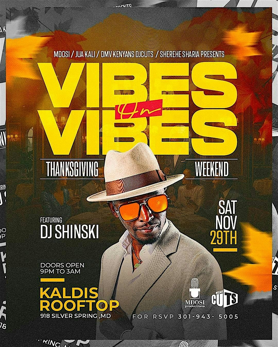 VIBES ON VIBES featuring DJ Shinski, 29 November | Event in Silver Spring | AllEvents