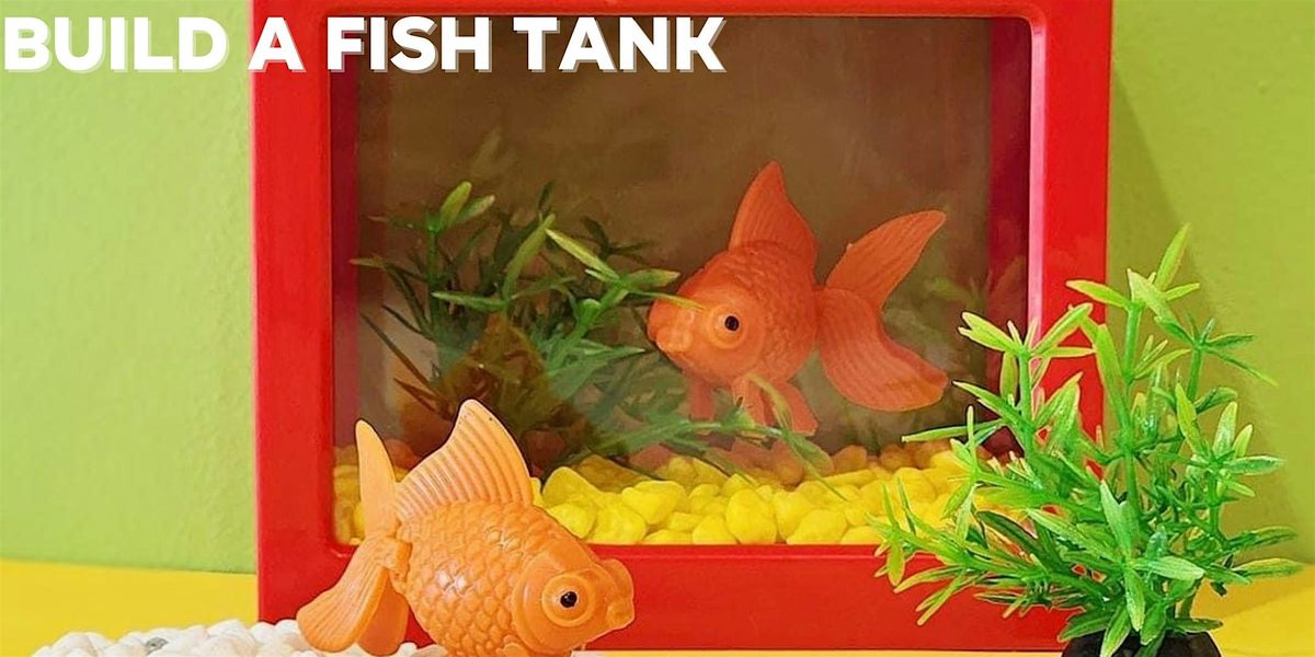 Build Your Own Fish Tank, 9 January | Event in South Windsor | AllEvents