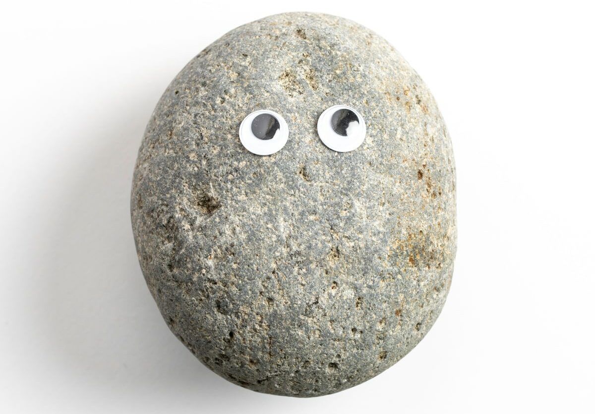 Pet Rock, 20 February | Event in Cedar Rapids | AllEvents