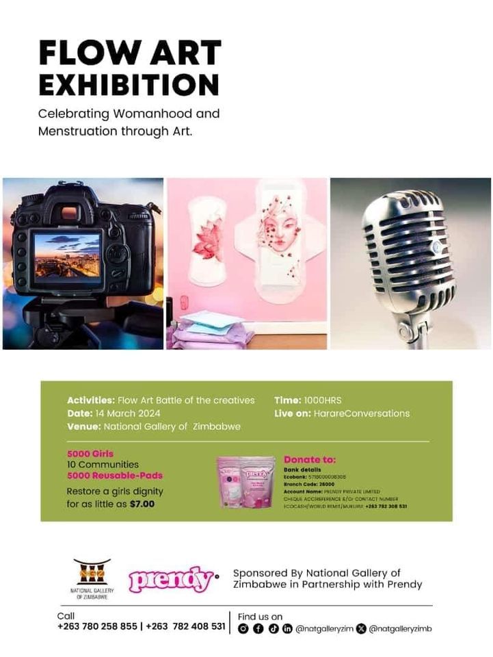 Flow Art Exhibition, National Gallery of Zimbabwe, Harare, 14 March