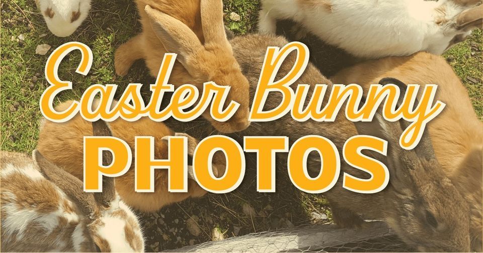 Photos with The Easter Bunny at Cross Creek Mall, Cross Creek Mall