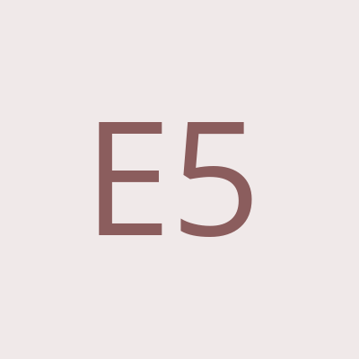 E5T logo