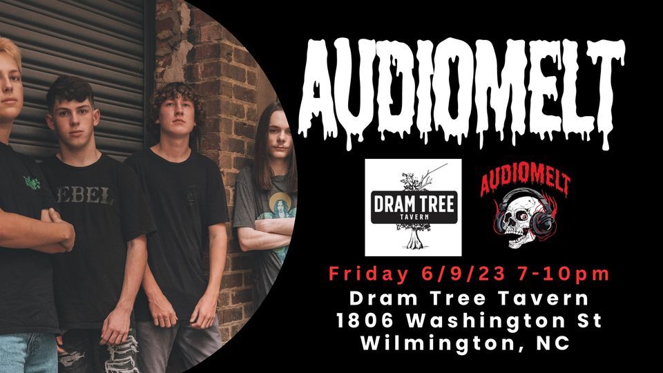 Audiomelt at Dram Tree Tavern , Dram Tree Tavern, Wilmington, June 9 ...
