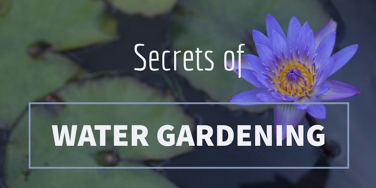 Secrets of Water Gardening, Garden Ponds, Kilauea, December 12 to