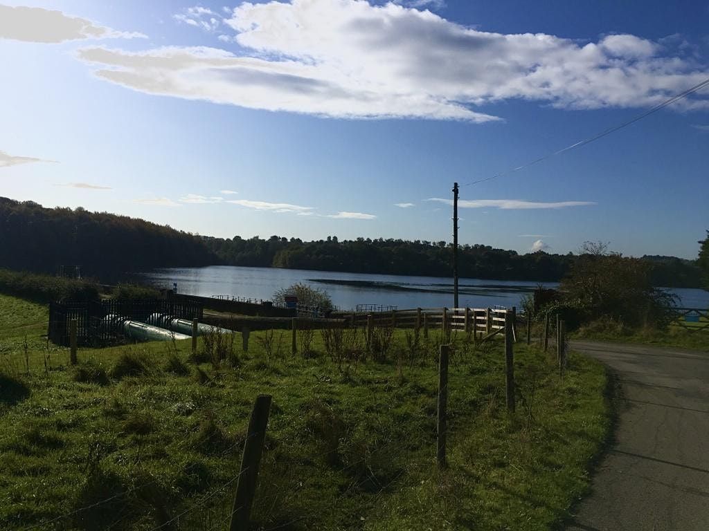 Leeds LGBT+ Dog Walking at Eccup Reservoir