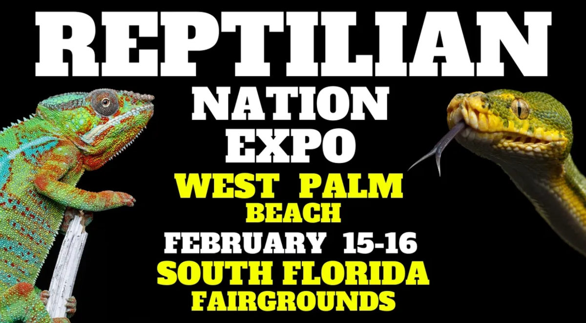 Reptilian Nation Expo - Saturday at Freeman Coliseum, 23 August | Event in San Antonio | AllEvents