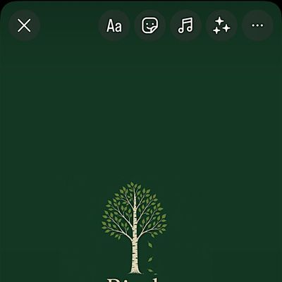 Birch Wellbeing