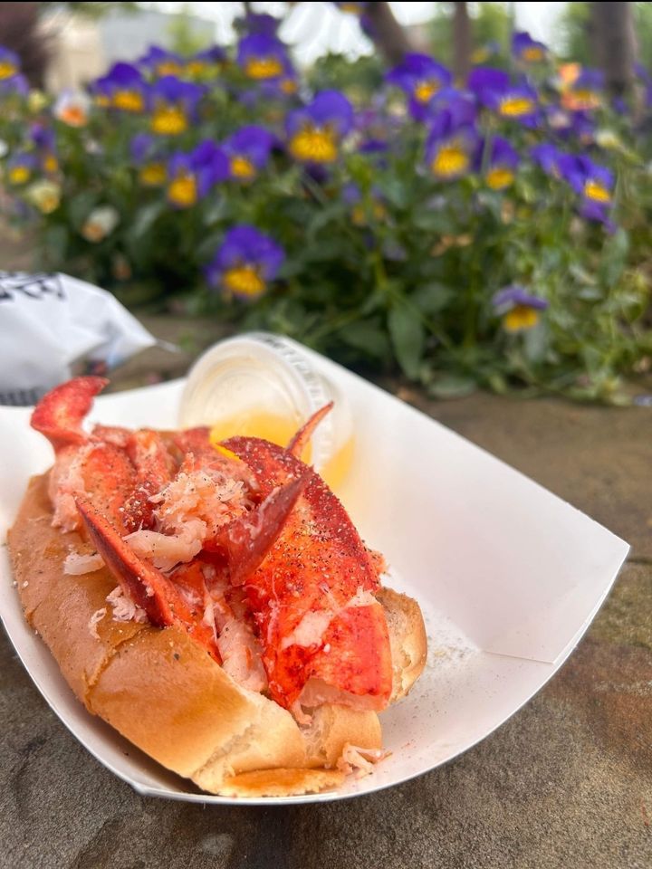 Lobster Dogs at Meadow StreamOOLTEWAH, 8029 Tranquility Dr, Ooltewah