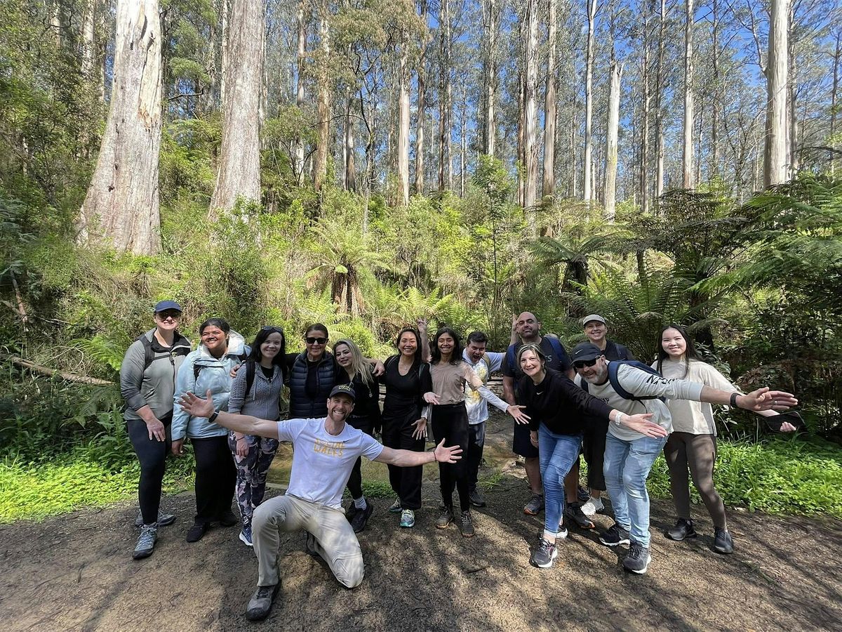 Long Forest Nature Reserve Loop | Moderate 11km, 29 November | Event in Long Forest | AllEvents