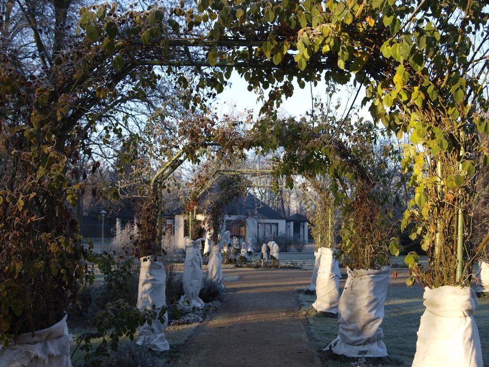 Herbstarbeiten & Winterschutz, Ostdeutscher Rosengarten Forst (Lausitz ... Herbstarbeiten & Winterschutz, Ostdeutscher Rosengarten Forst (Lausitz ...