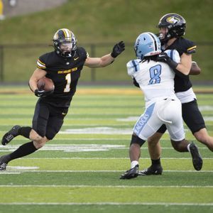 Michigan Tech Huskies vs. Ferris State Bulldogs