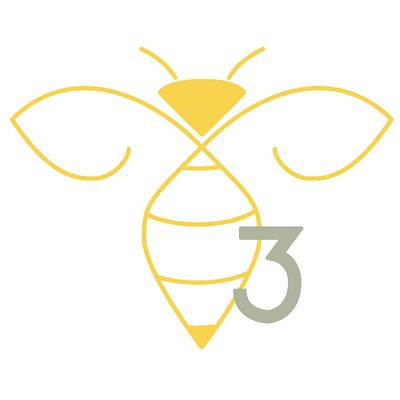 B3 Yoga and Wellness Center logo