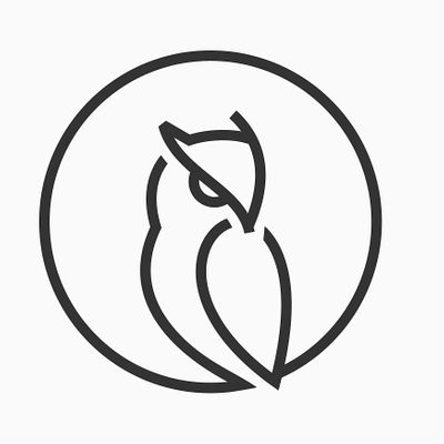 Night Owls logo